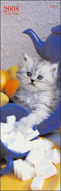 Cats. Calendario 2008