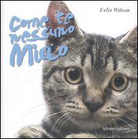 Come te nessuno miao