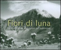 Fiori di luna. La vegetazione afroalpina del Ruwenzori