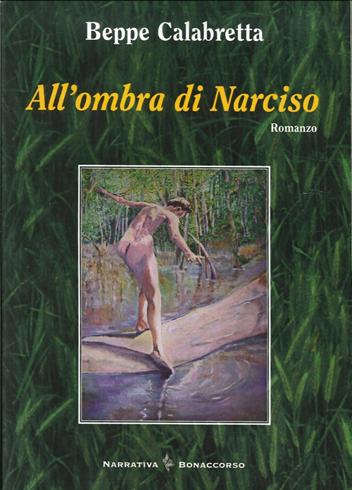 All'ombra di Narciso