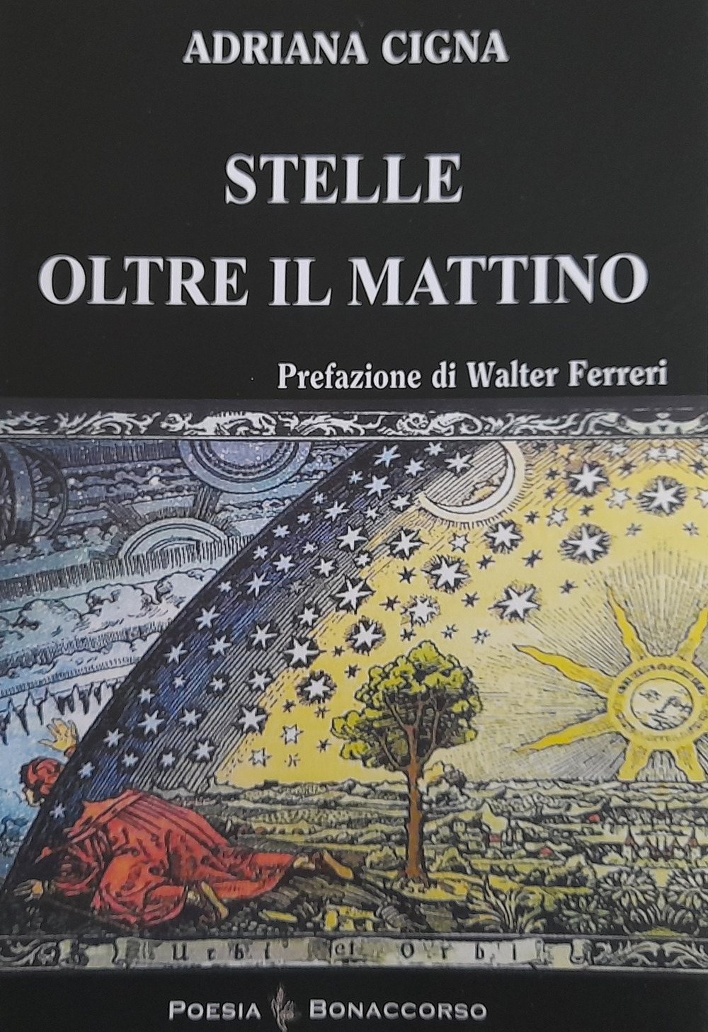 Stelle oltre il mattino