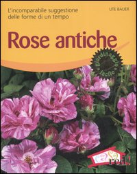 Rose antiche. L'incomparabile suggestione delle forme di un tempo