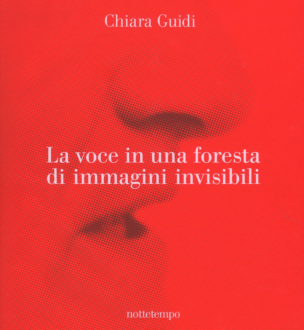 La voce in una foresta di immagini invisibili