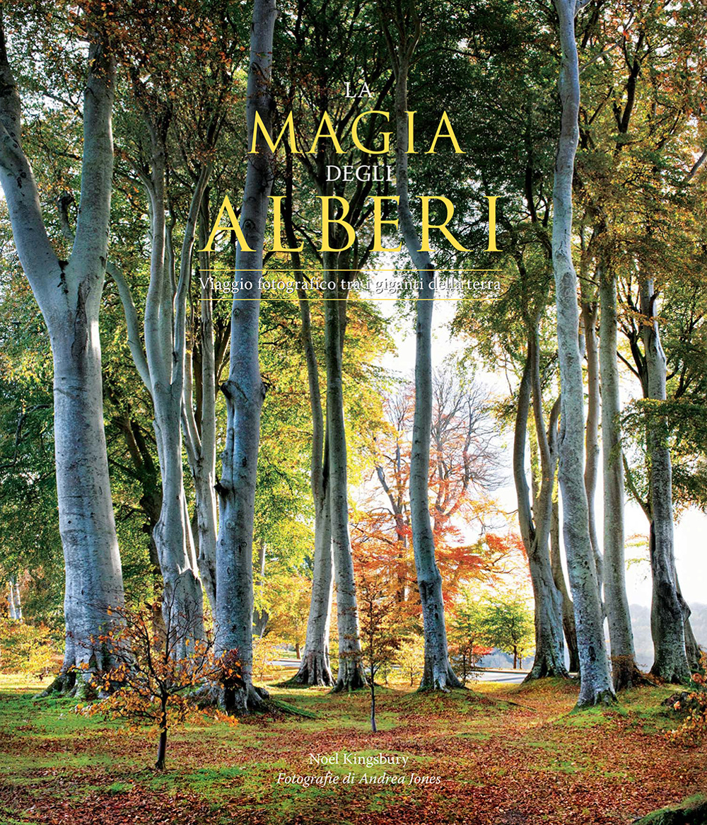 La magia degli alberi. Viaggio fotografico tra i giganti della terra