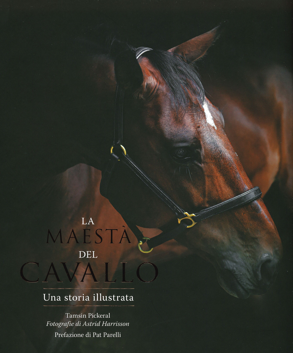 La maestà del cavallo. Una storia illustrata