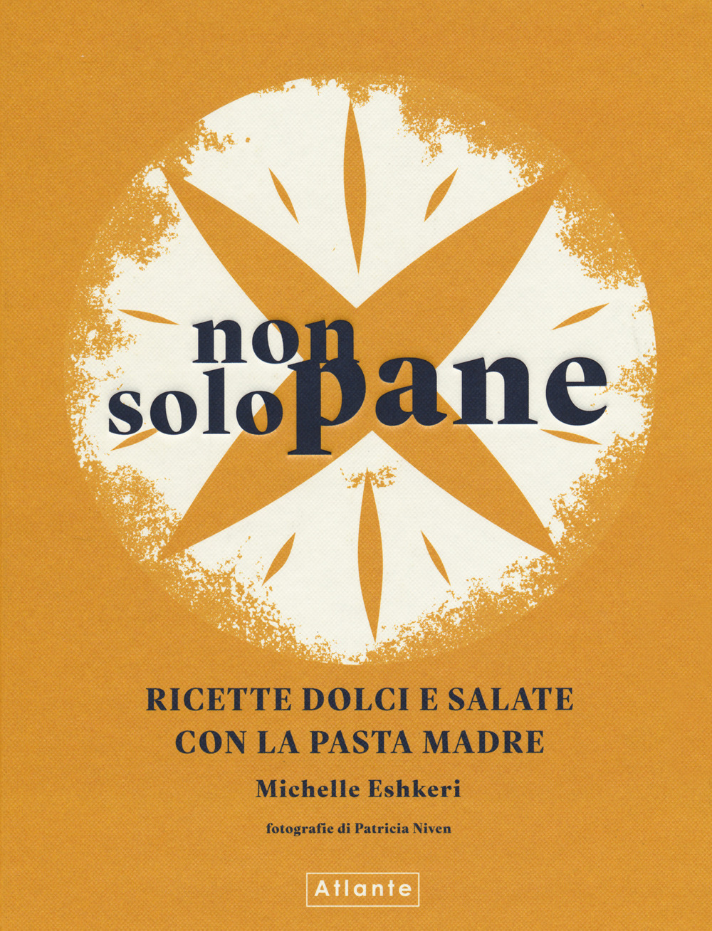 Non solo pane. Ricette dolci e salate con la pasta madre