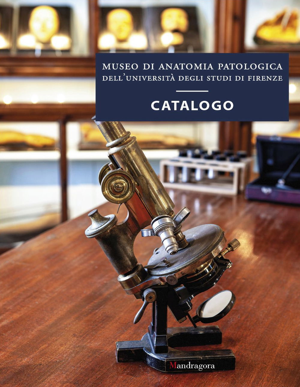 Museo di anatomia patologica dell'Università degli Studi di Firenze. Catalogo