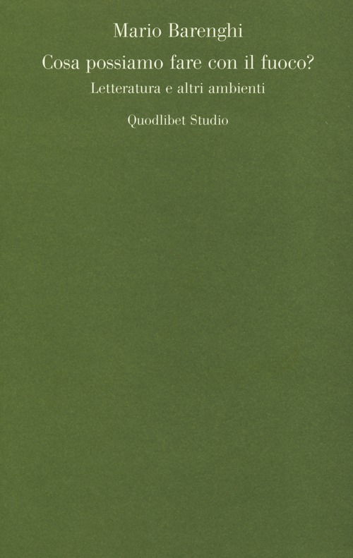 Cosa possiamo fare con il fuoco? Letteratura e altri ambienti