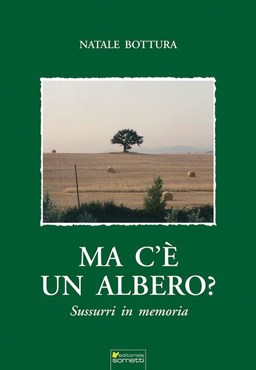 Ma c'è un albero?