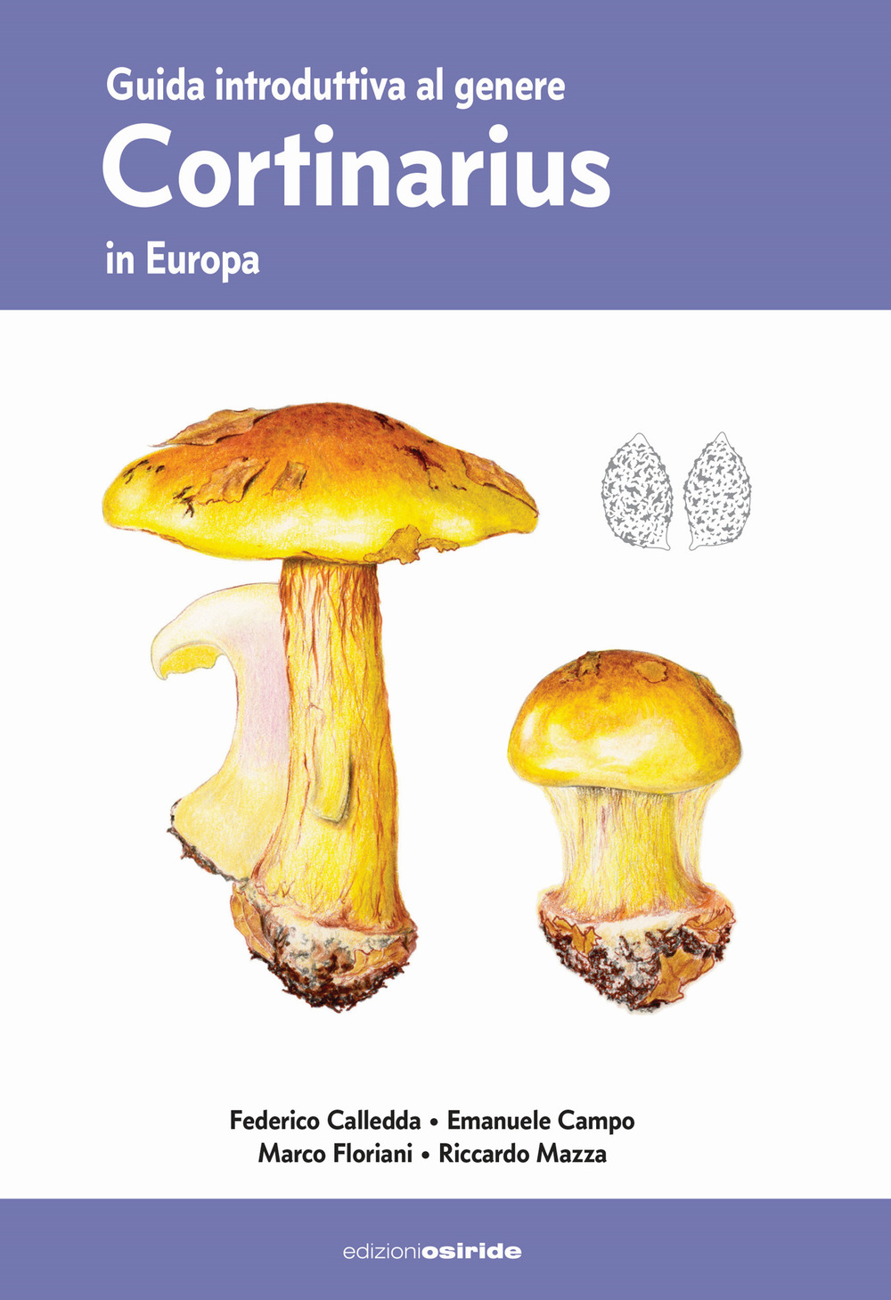 Guida introduttiva al genere Cortinarius in Europa