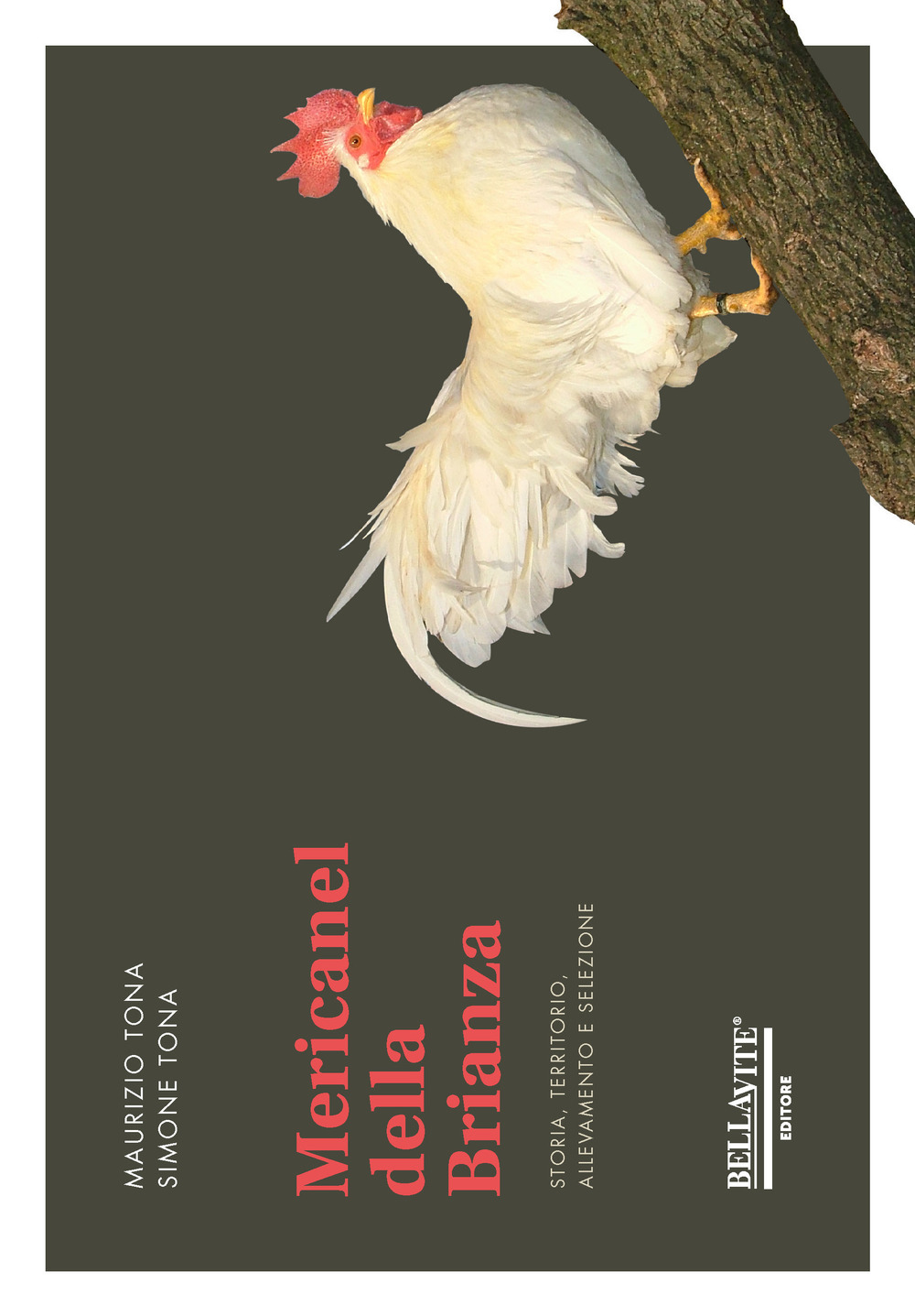 Mericanel della Brianza. Storia, territorio, allevamento, selezione