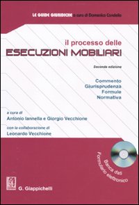 Il processo delle esecuzioni mobiliari
