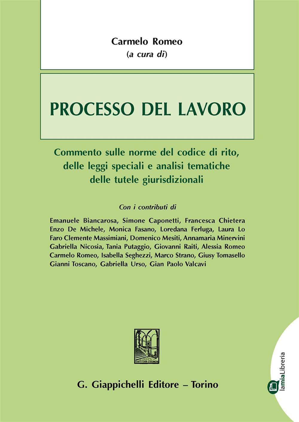 Processo del lavoro. Commento sulle norme del codice di rito, delle leggi speciali e analisi tematiche delle tutele giurisdizionali