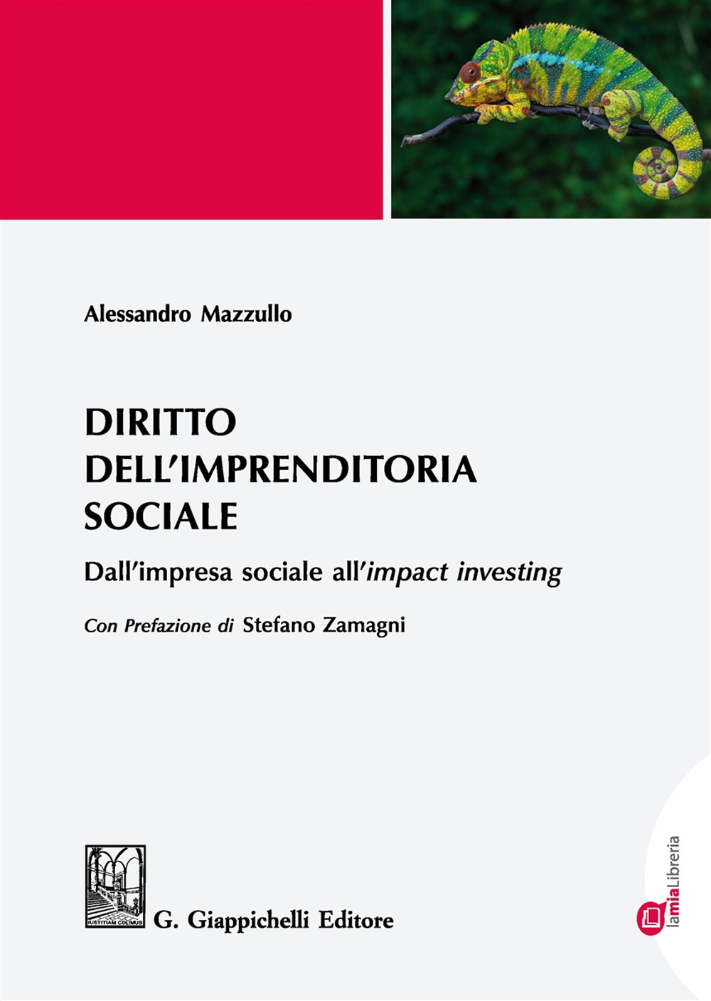 Diritto dell'imprenditoria sociale. Dall'impresa sociale all'«impact investing»