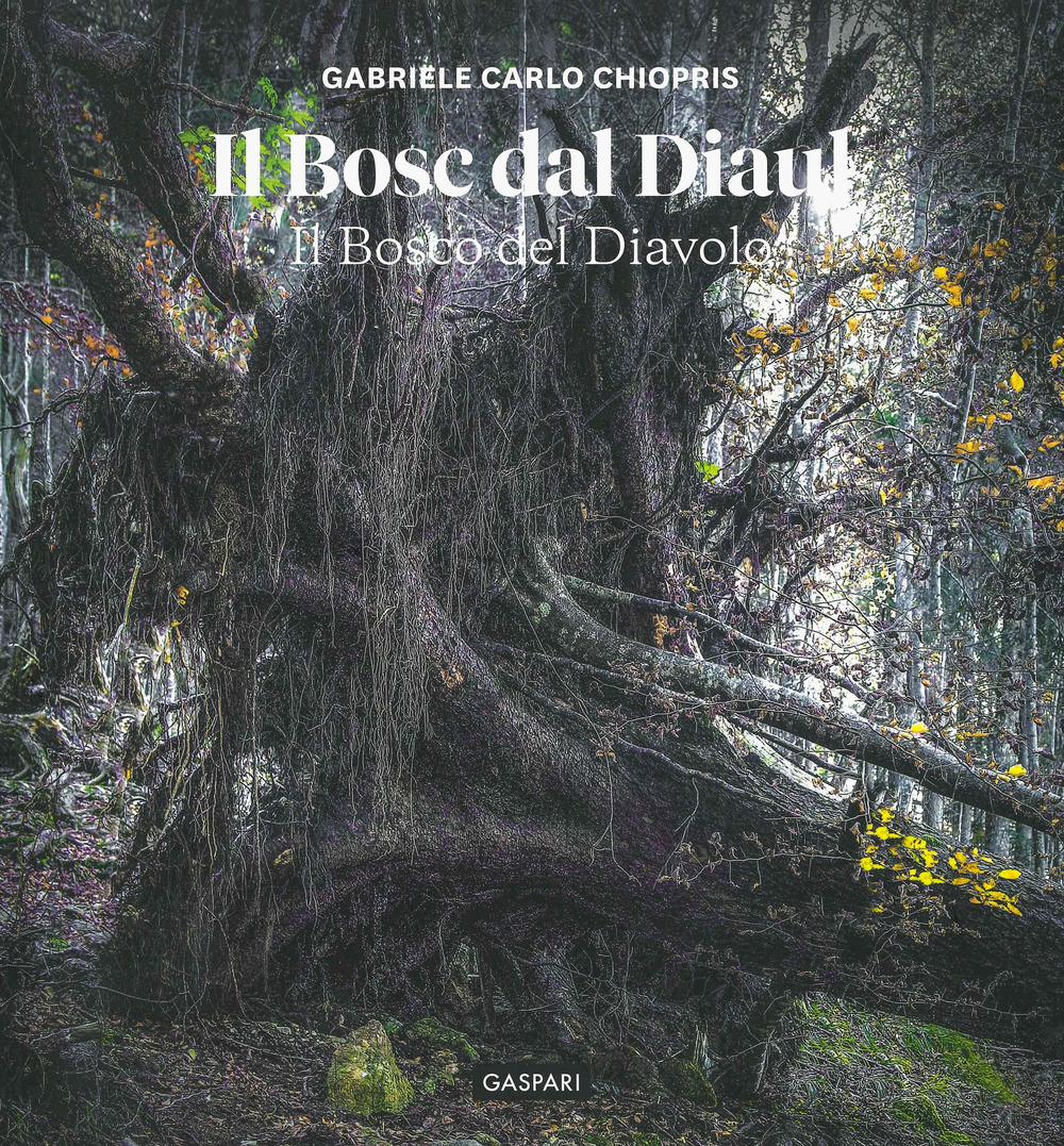 Il bosc dal diaul. Il bosco del diavolo