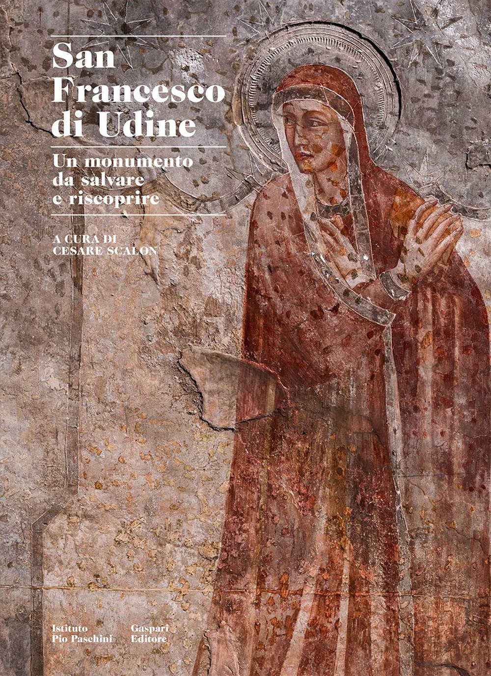 San Francesco di Udine. Un monumento da salvare e riscoprire