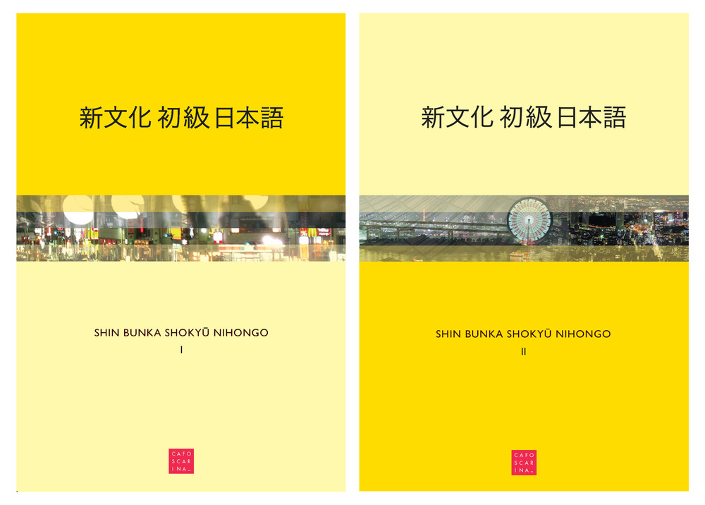 Shin bunka shokyu nihongo