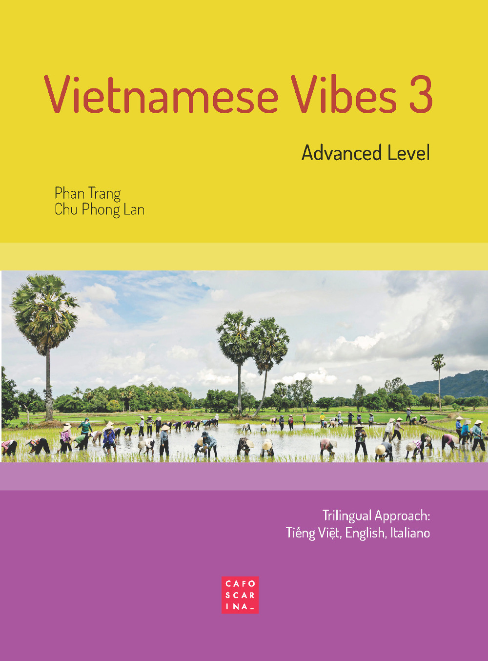 Vietnamese Vibes 3. Advanced level