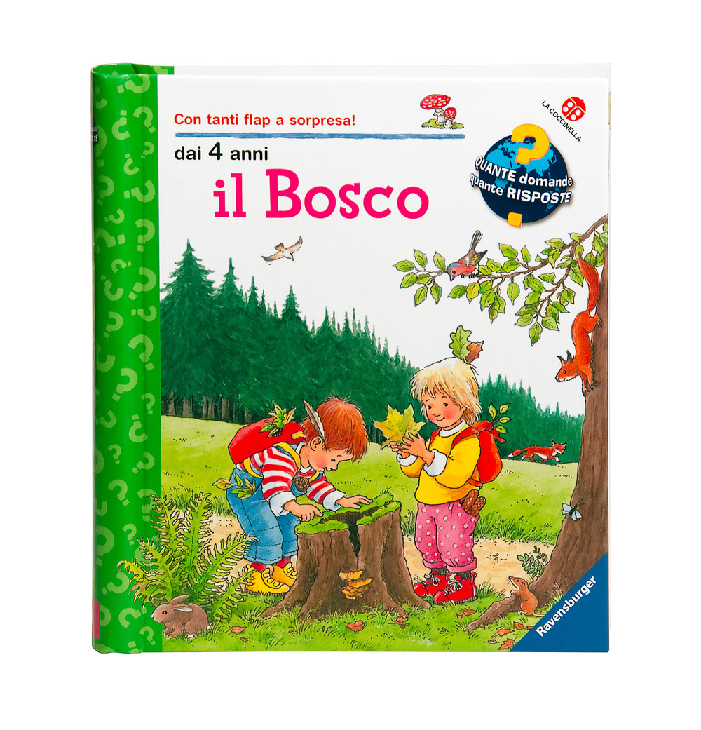 Il bosco