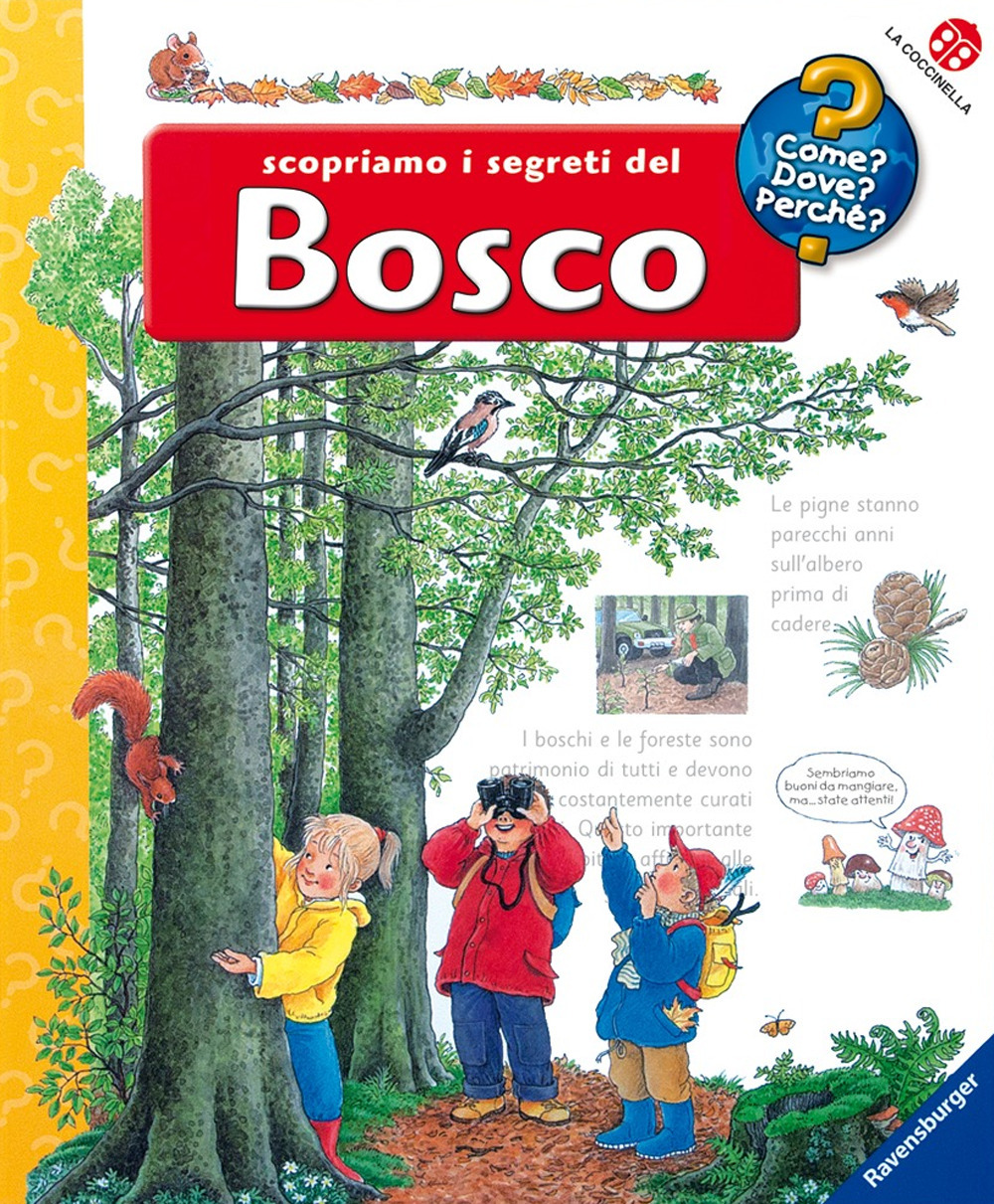 Scopriamo i segreti del bosco