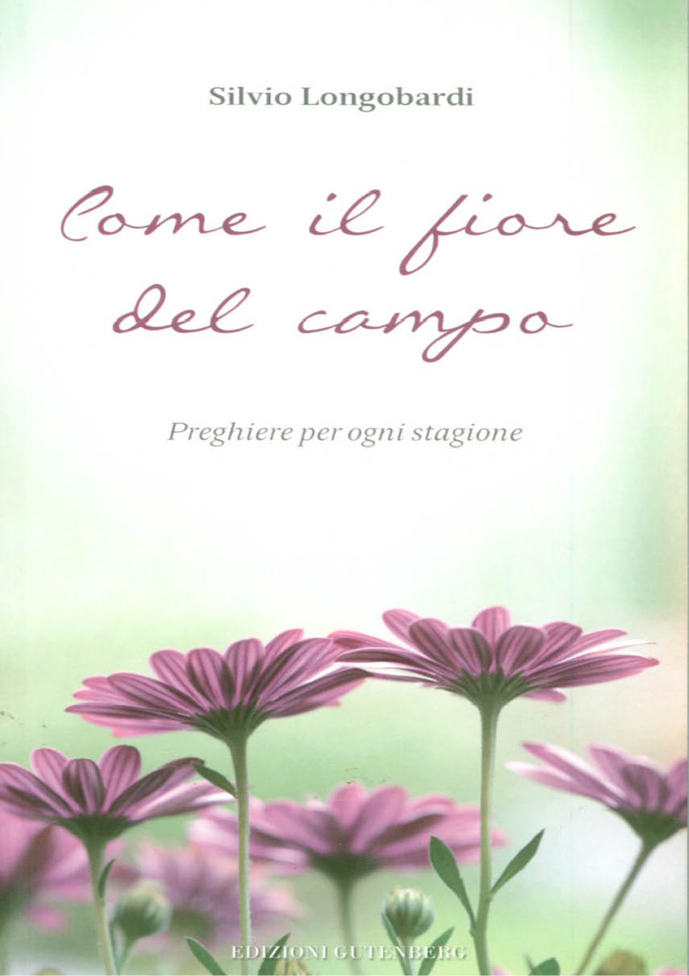 Come il fiore del campo