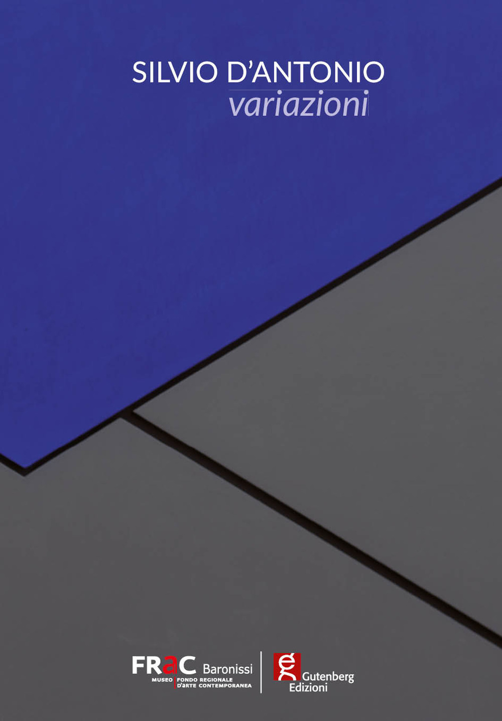 Silvio D'Antonio. Variazioni