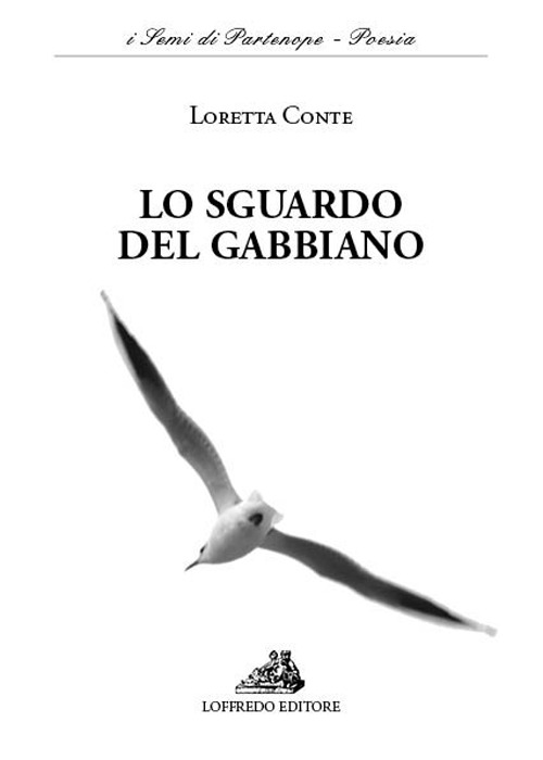 Lo sguardo del gabbiano
