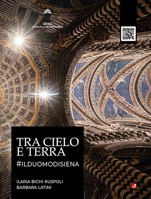 Tra cielo e terra. #ilduomodisiena