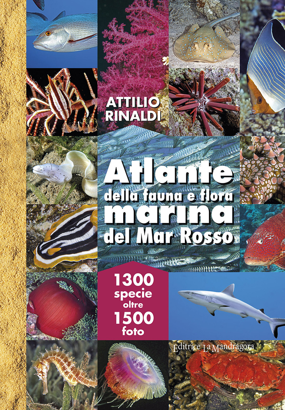 Atlante della fauna e flora marina del Mar Rosso
