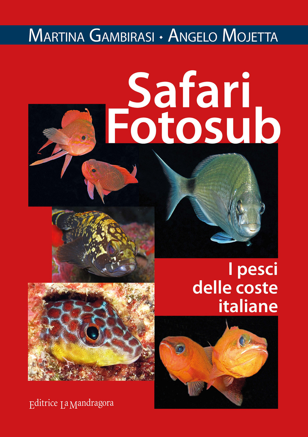 Safari fotosub. I pesci delle coste italiane