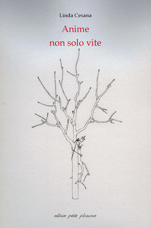 Anime, non solo vite