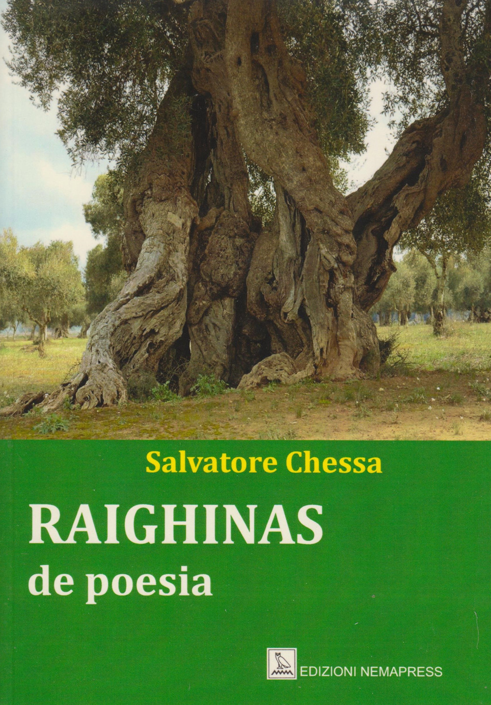 Raighinas de poesia