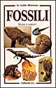 I fossili