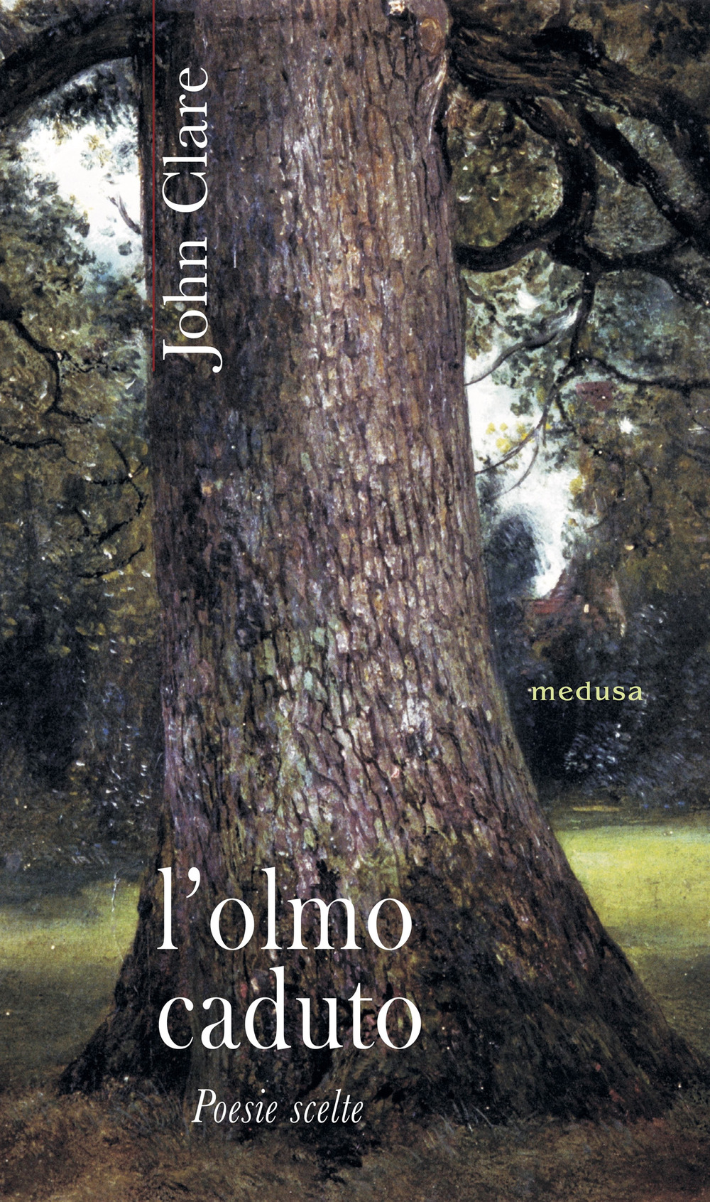 L'olmo caduto. Poesie scelte