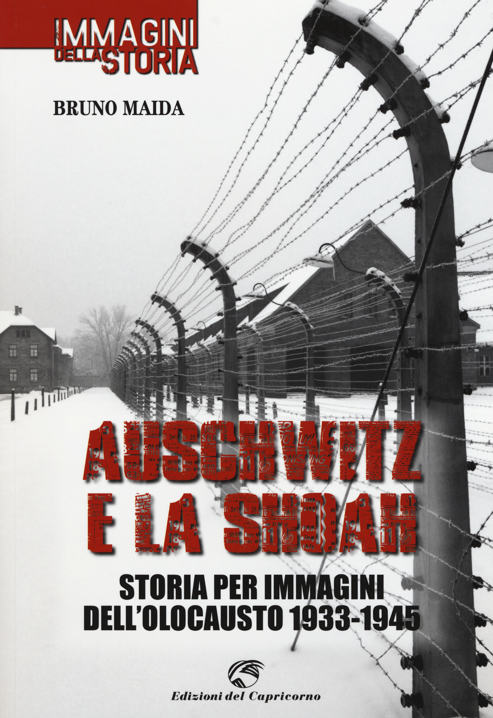 Auschwitz e la Shoah. Storia per immagini dell'olocausto (1933-1945)