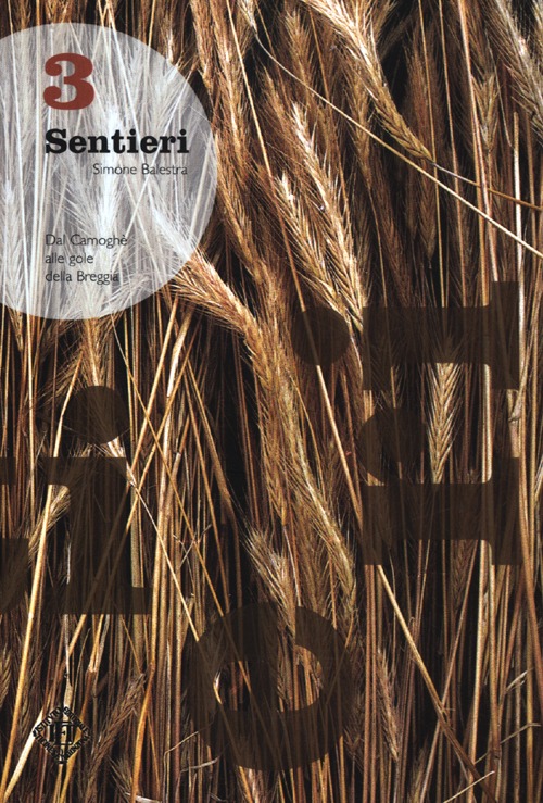 Sentieri. Dal Camoghè alle gole della Breggia. Vol. 3