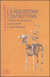 L'evoluzione costruttiva. I fattori d'interazione, cooperazione e organizzazione