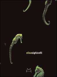 Elisa Sighicelli. Ediz. italiana e inglese