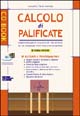 Calcolo di palificate