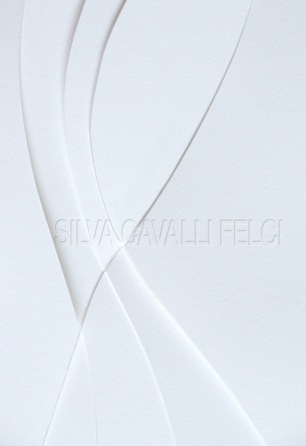 Silva Cavalli Felci. La vita è insufficiente