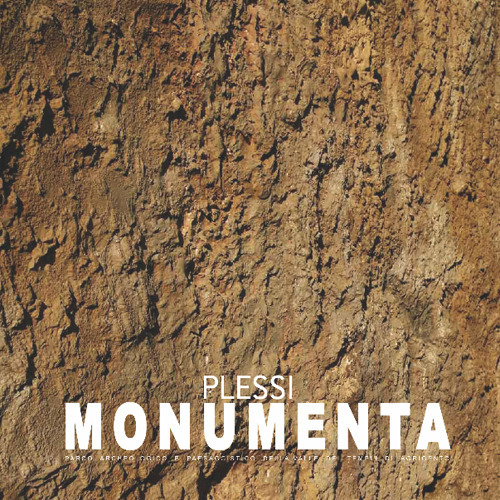Fabrizio Plessi. Monumenta