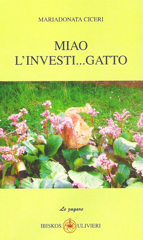 Miao l'investi... gatto
