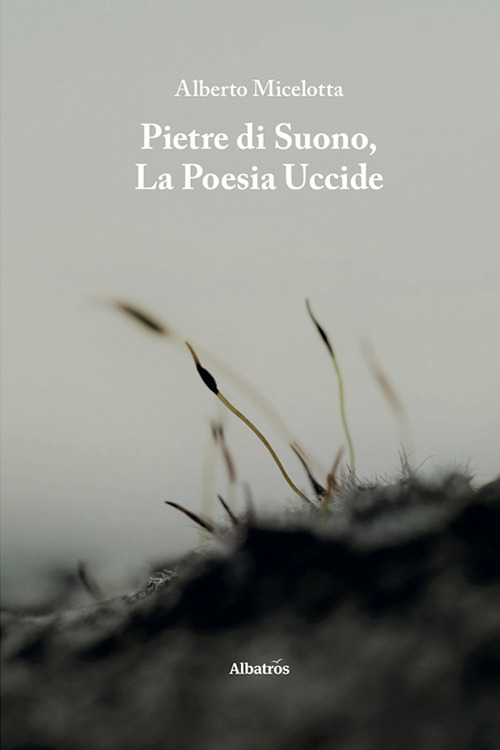 Pietre di suono, la poesia uccide