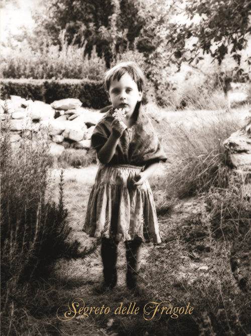 Il segreto delle fragole. Poetico diario 2016