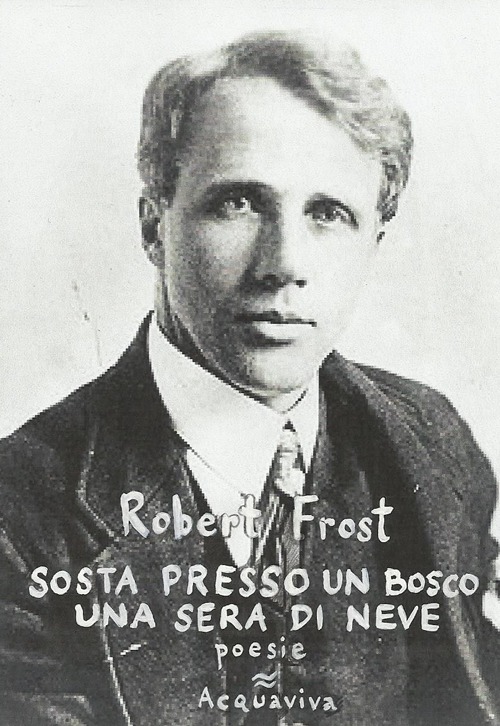 Sosta presso un bosco. Una sera di neve