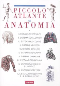 Il piccolo atlante di anatomia