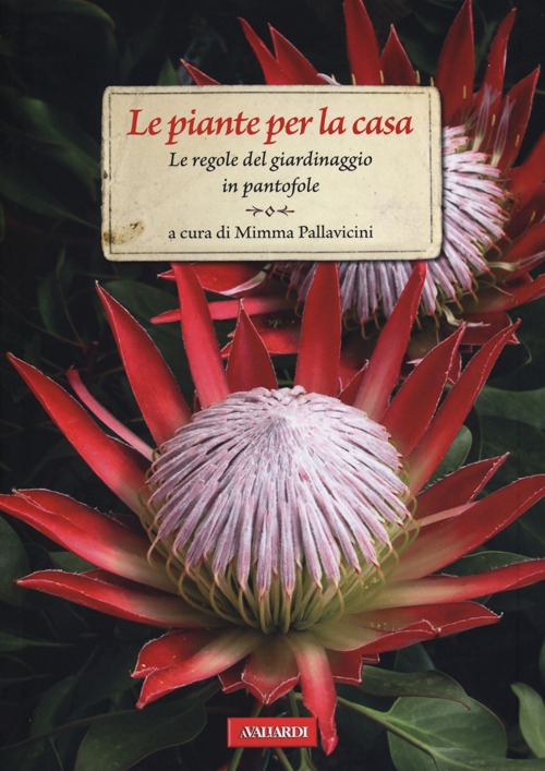 Le piante per la casa. Le regole del giardinaggio in pantofole