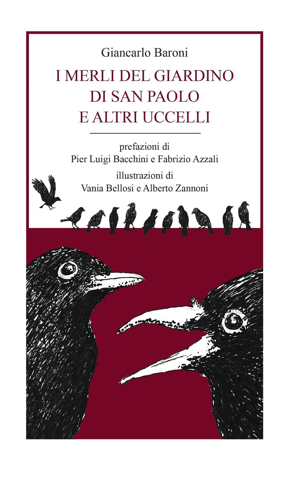 I merli del giardino di San Paolo e altri uccelli