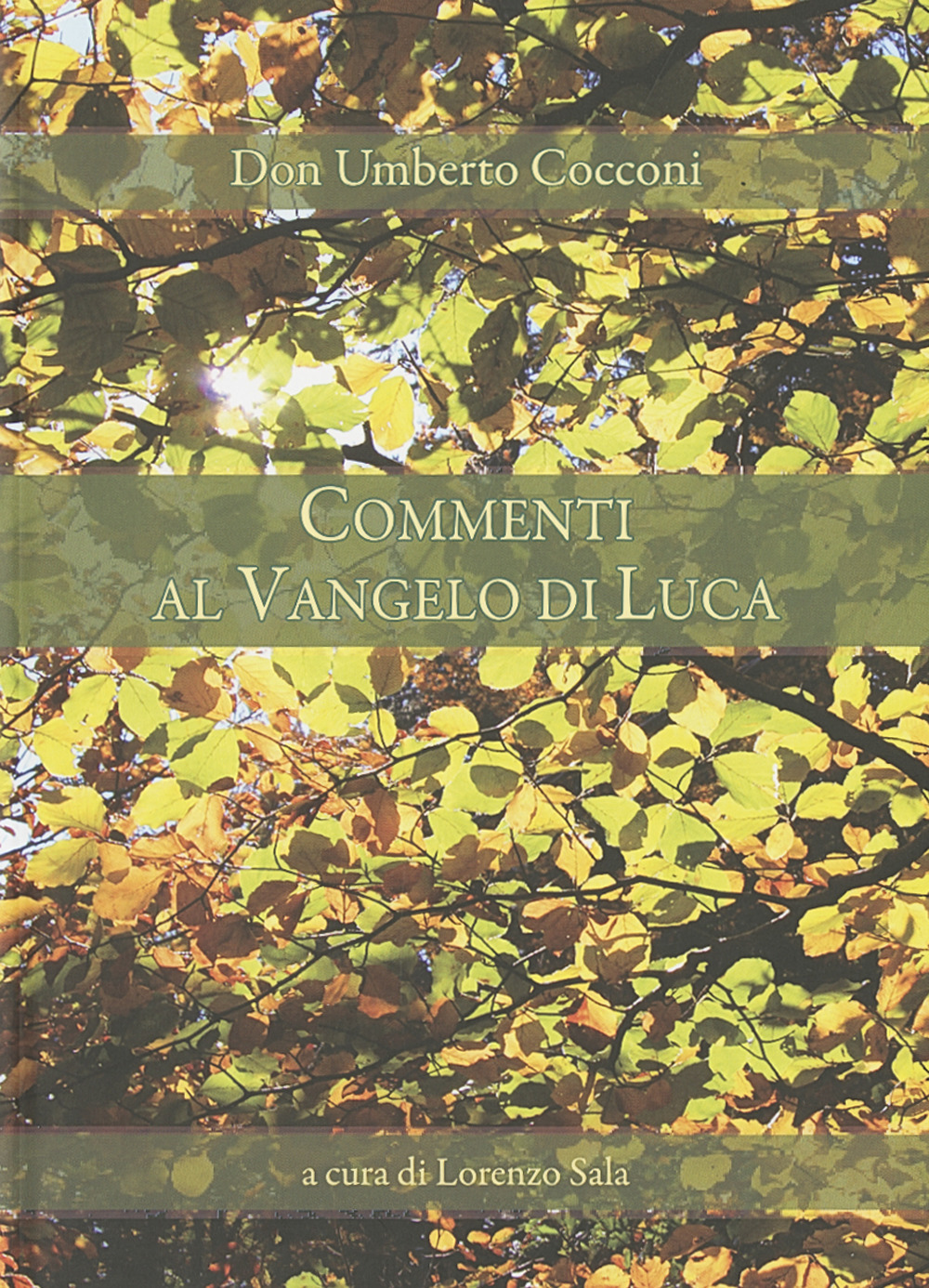 Commenti al Vangelo di Luca