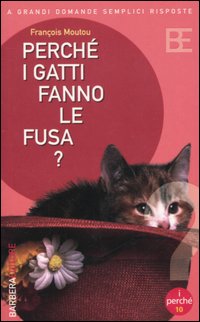 Perché i gatti fanno le fusa?